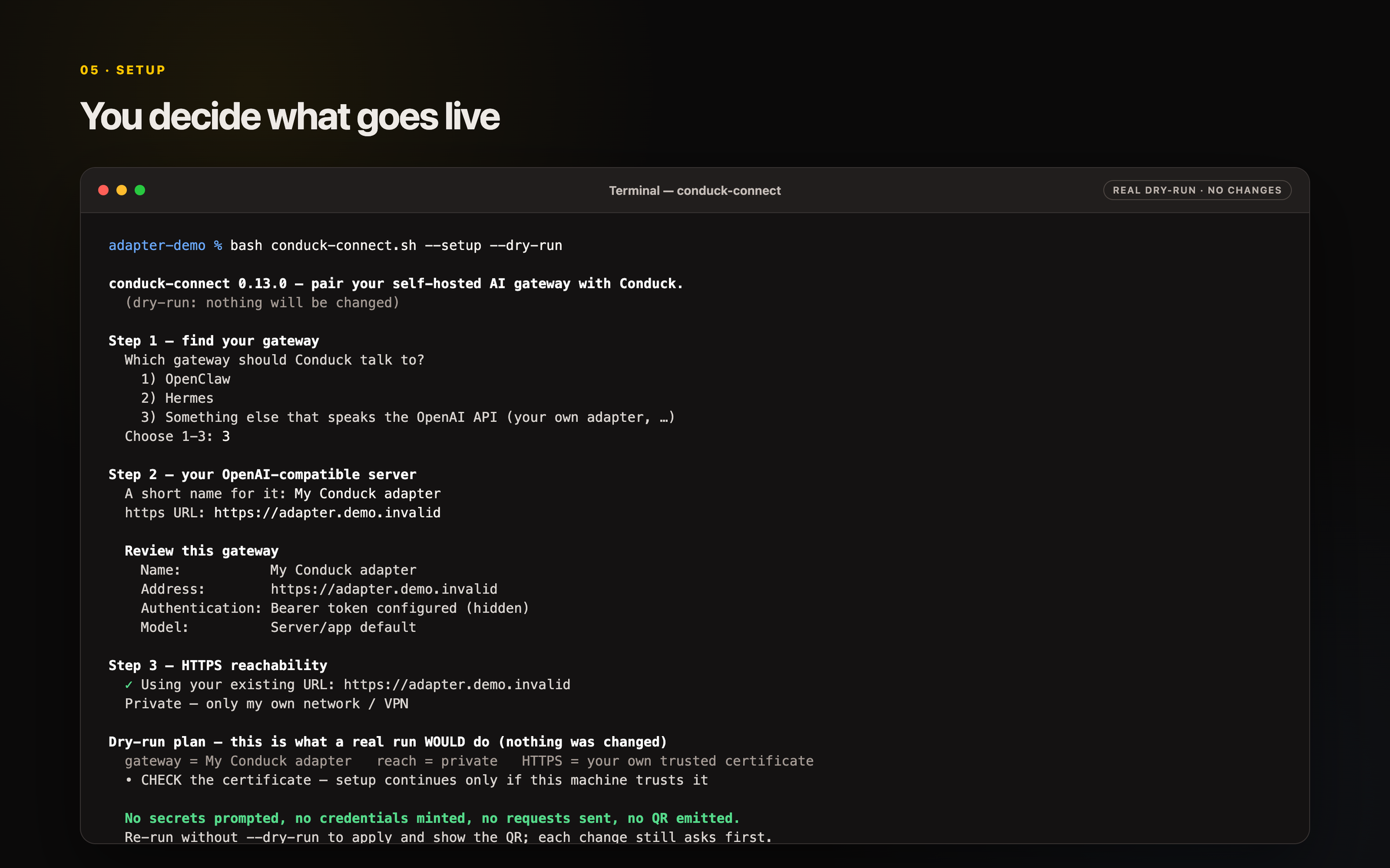 Terminal dry-run example reviewing a custom adapter without changing the machine or emitting a setup code.